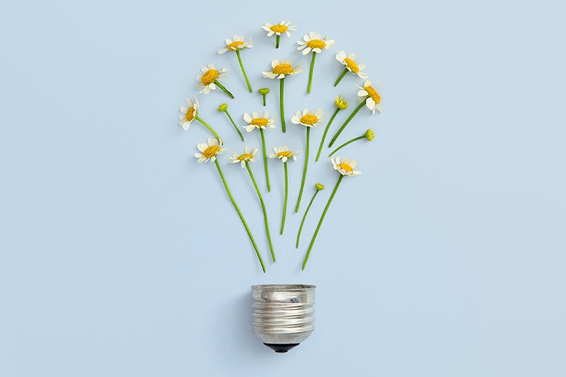 A light bulb with flower out the top.