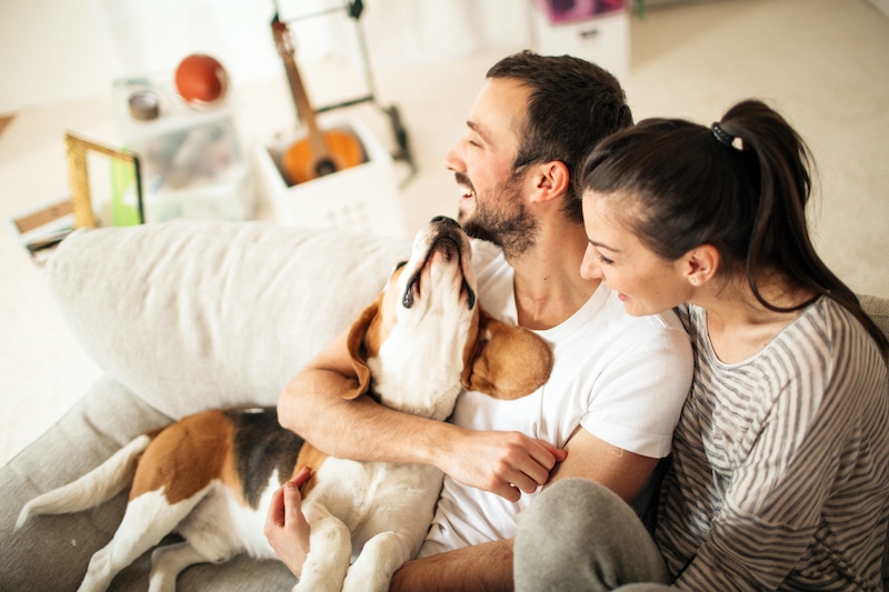Happy family relaxing with their dog on a beige couch | How to Prepare Your Heat Pump for Spring