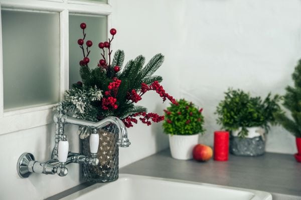 Image of a faucet with plants in the background. Is Your Plumbing Ready for the Holidays?