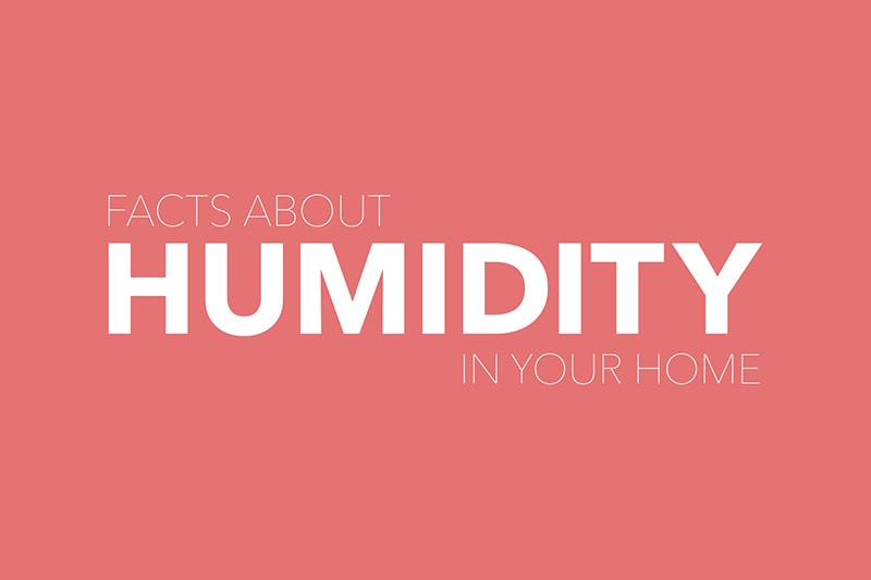 facts about humidity
