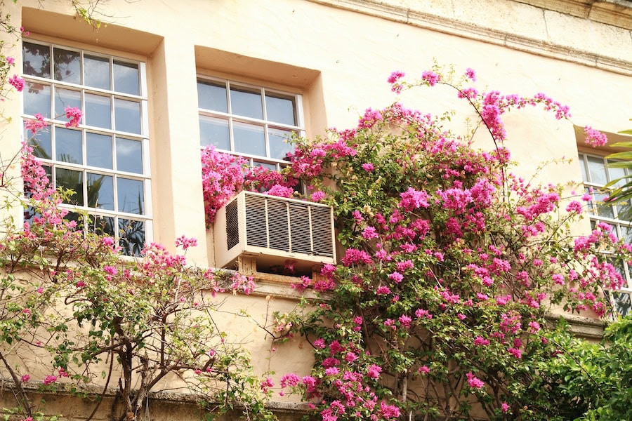 Flowers and HVAC.